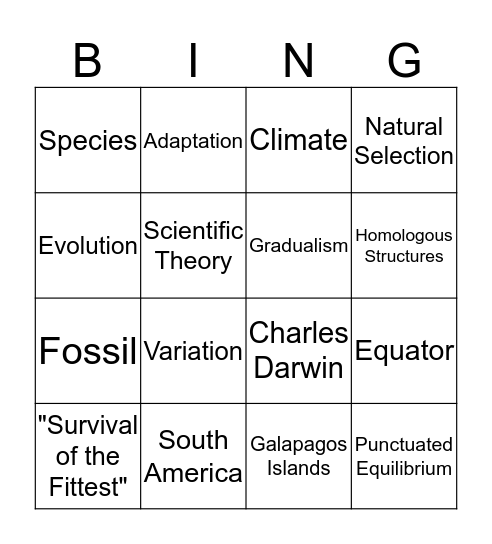 Change Over Time Bingo Card