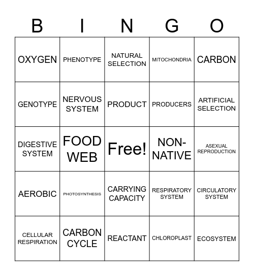 Review Game Bingo Card