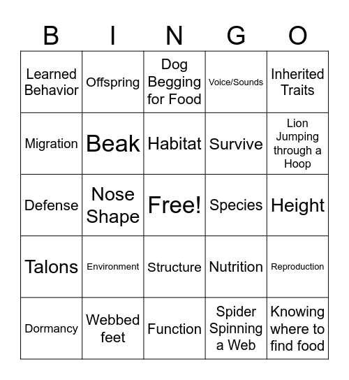 Adaptions Bingo Card