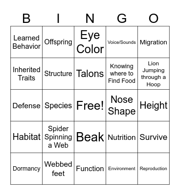 Adaptions Bingo Card