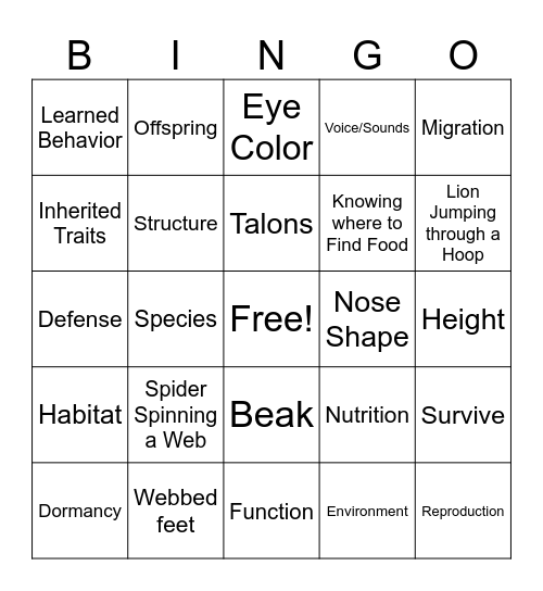 Adaptions Bingo Card