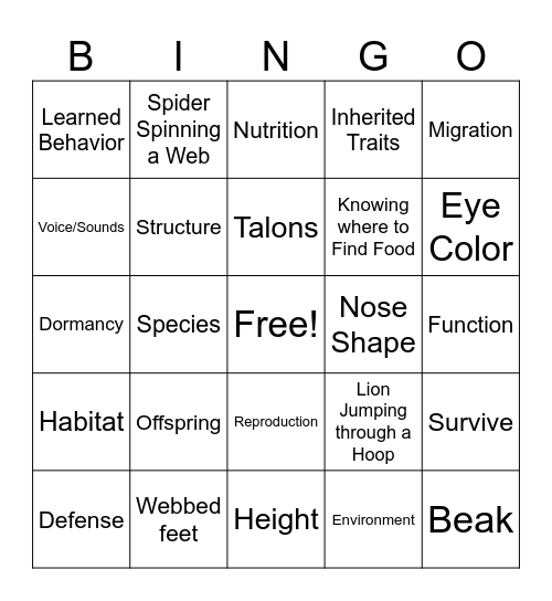 Adaptions Bingo Card