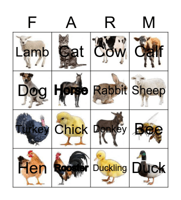 Count Numbers 1 to 20 Farm animals Bingo Card