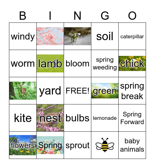 SPRING  BINGO Card