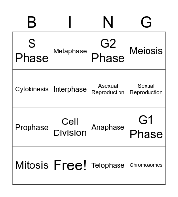 Cell Division Bingo Card