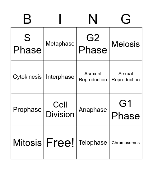 Cell Division Bingo Card