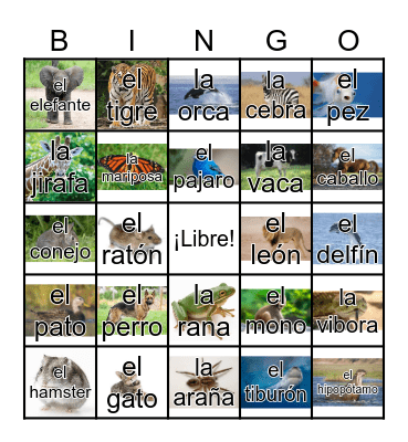 Los animales Bingo Card