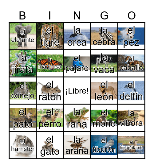 Los animales Bingo Card