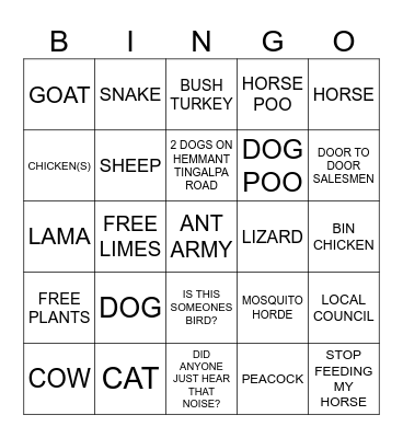 HEMMANT ON THE LOOSE Bingo Card