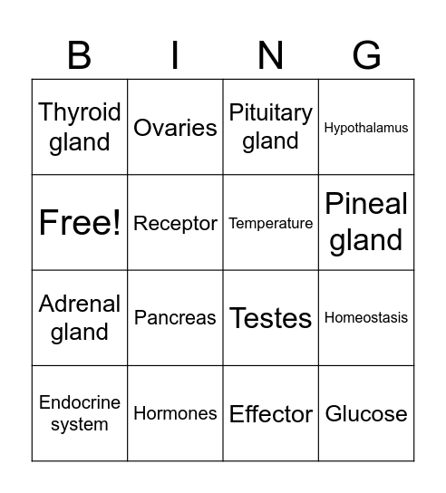 Endocrine system Bingo Card