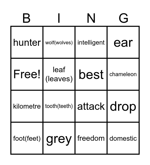 Grade 5 - Unit  5 lesson 3 Bingo Card