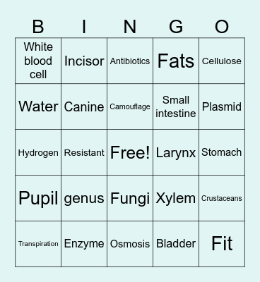 Biology Olevel Bingo Part 1 Bingo Card