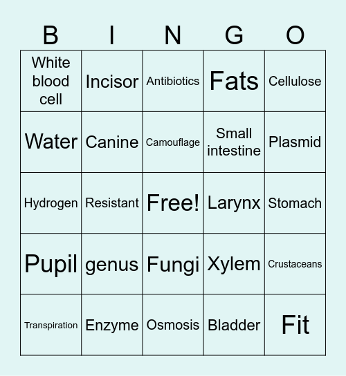 Biology Olevel Bingo Part 1 Bingo Card