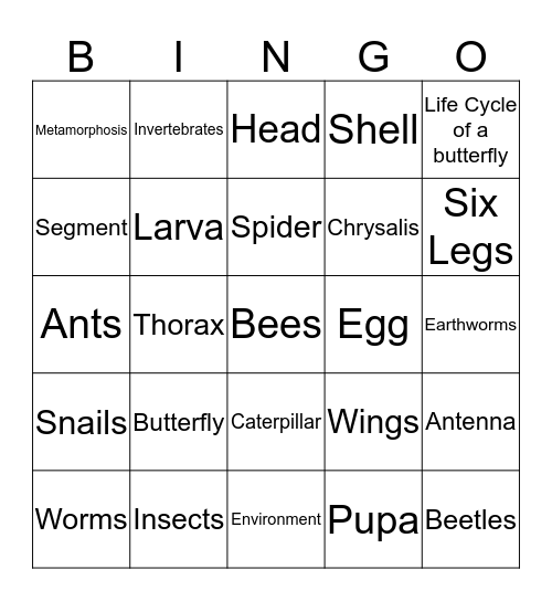 Insects/Butterfly/Spiders/Worms  Bingo Card