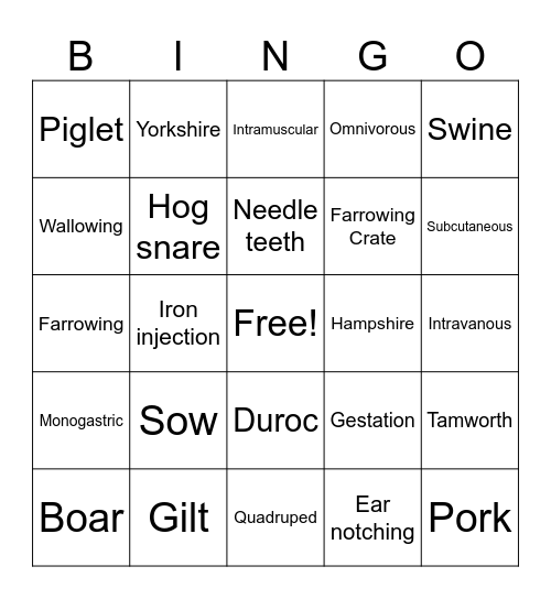 Pig Bingo Card