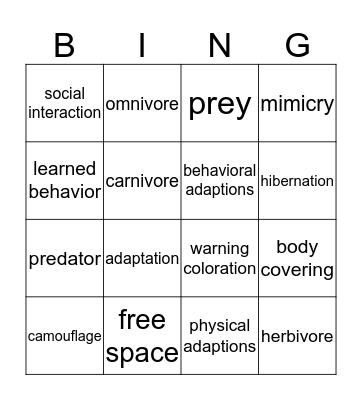 Animal adapations  Bingo Card