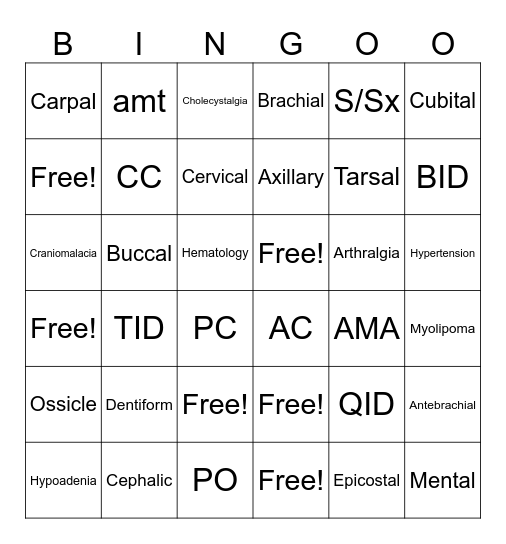 Anatomical Terms and General Abbreviations Bingo Card