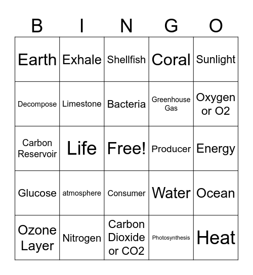 Carbon Cycle Bingo! Bingo Card