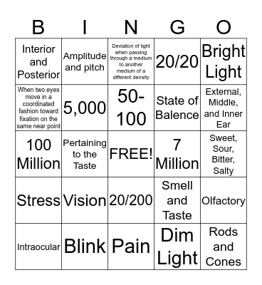 Sensory System  Bingo Card