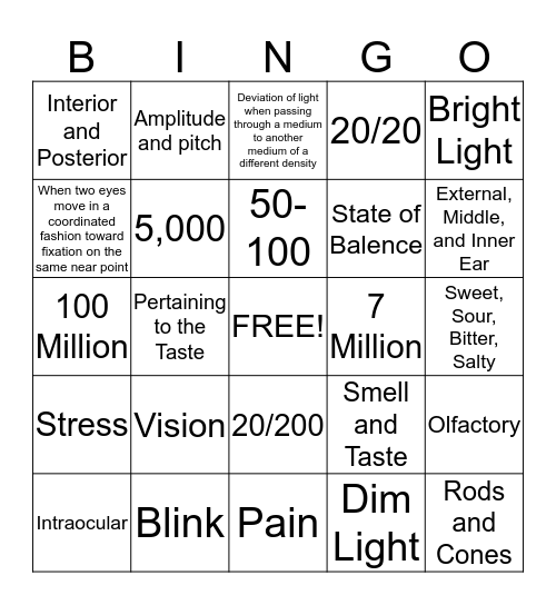 Sensory System  Bingo Card
