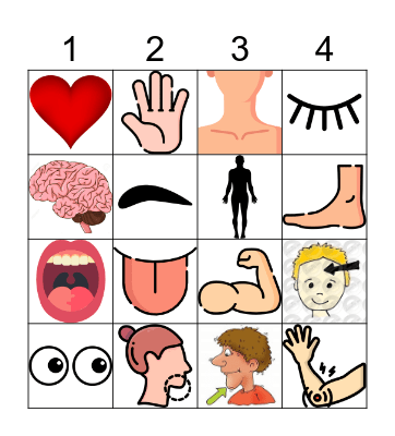 Partes del cuerpo N1 Bingo Card