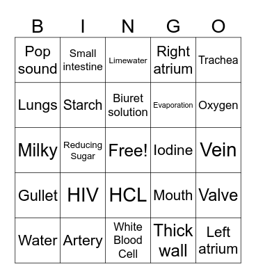 SPE Bingo Year 8 Part 1 Bingo Card