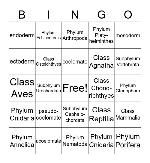Zoology Final Exam Bingo Card