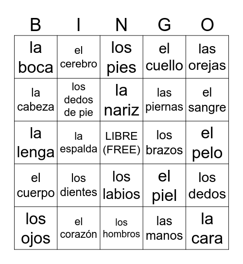 El Cuerpo Bingo Card