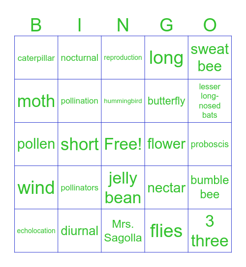 Pollinators Bingo Card