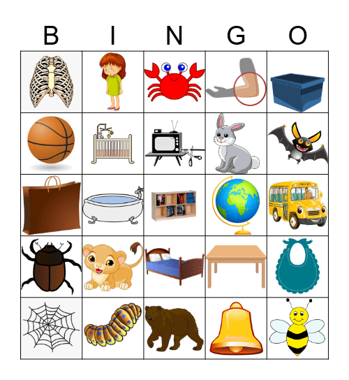 Artic B Bingo Card