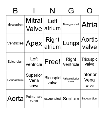 Anatomy of the heart Bingo Card