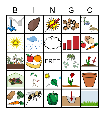 Plants in Gardens and Fields Bingo Card