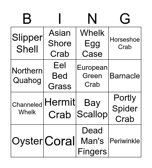 Marine Bingo  Bingo Card