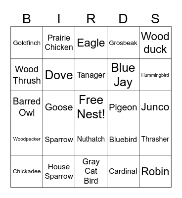 Birds, Birds, Birds Bingo Card
