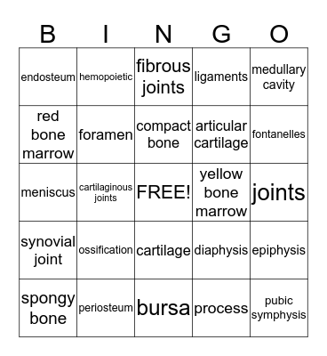 Skeletal System Bingo Card