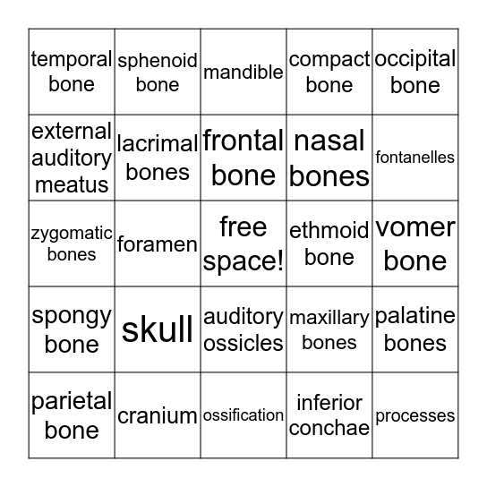 Skeletal System - Skull Bones Bingo Card