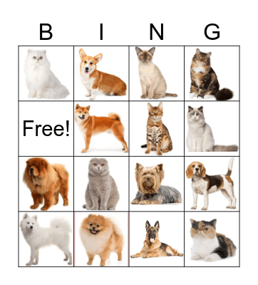 Cats & Dogs Bingo Card