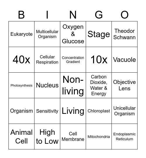 Biology Bingo! Bingo Card