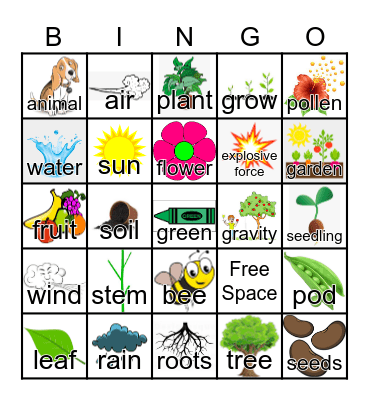 f9 Plants Bingo Card