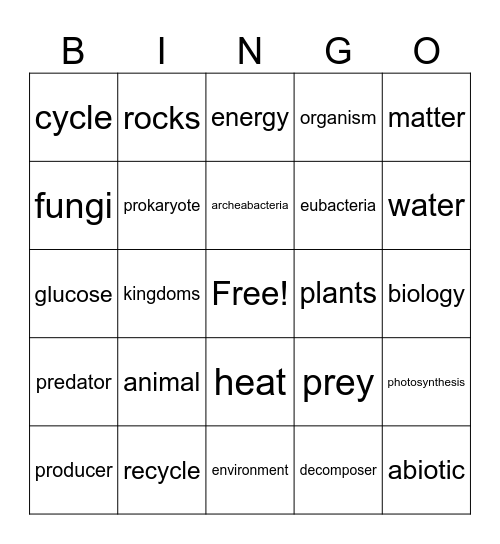 ECOSYSTEM Bingo Card