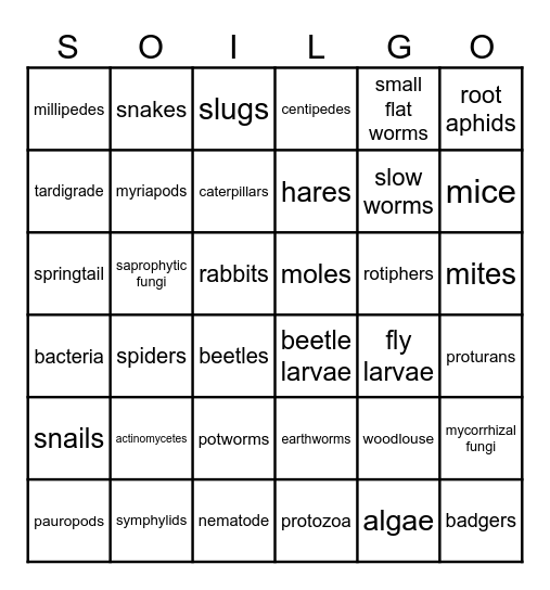 Soil Life Bingo Card