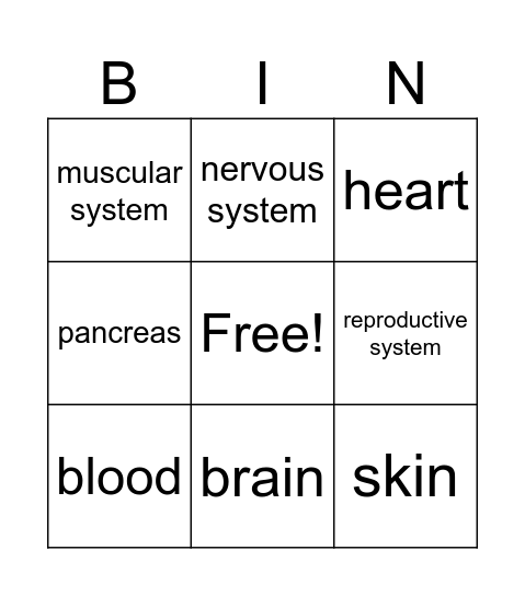 BODY SYSTEMS Bingo Card