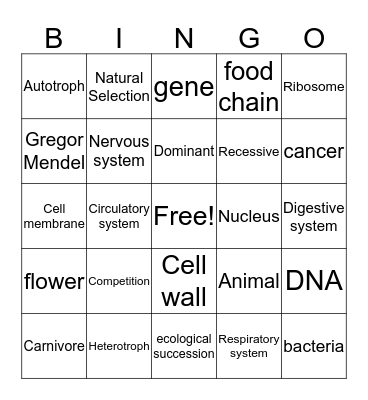 Final Exam Review Bingo Card
