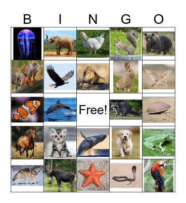 Animals Bingo Card