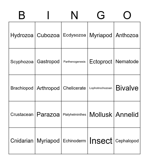 Invertebrates Bingo Card