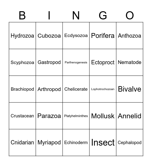 Invertebrates Bingo Card