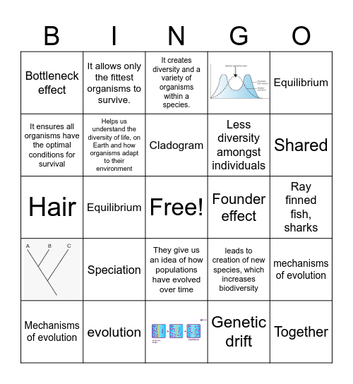 Unit 8 Bingo Card