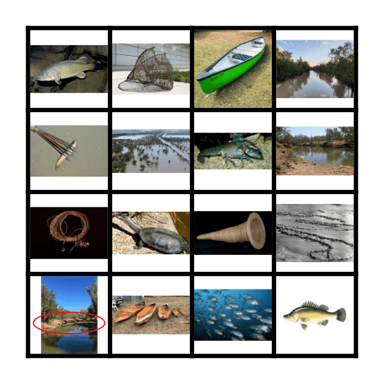 Fishing Bingo Card