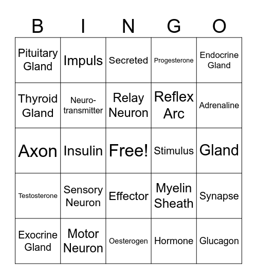 Nervous System and Chemical Coordination Bingo Card