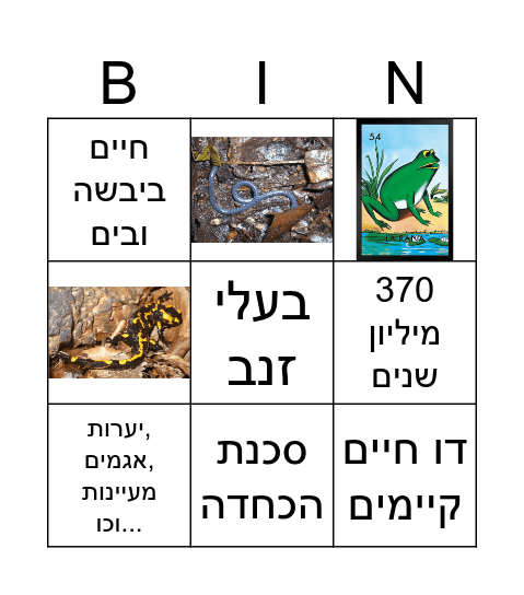 דו חיים Bingo Card